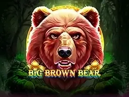 Big Brown Bear screenshot